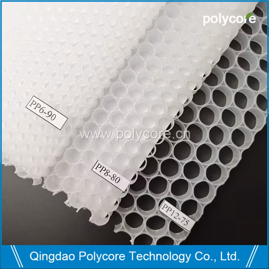 Noyau en nid d'abeille en plastique Noyau de ruche (PP12)